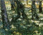 Tree Trunks with Ivy  by Vincent Van Gogh